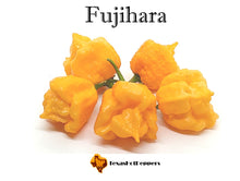 Load image into Gallery viewer, Fujihara