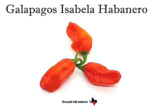 Habanero Seed Collection - 10 Different Varieties