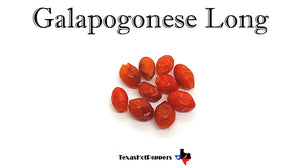 Capsicum Galapogoense Long