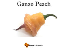 Load image into Gallery viewer, Ganzo Peach