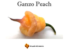 Load image into Gallery viewer, Ganzo Peach