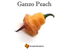 Load image into Gallery viewer, Ganzo Peach