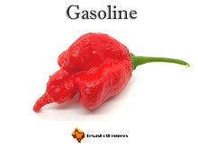 Load image into Gallery viewer, Gasoline