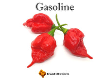 Load image into Gallery viewer, Gasoline