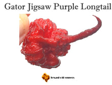 Load image into Gallery viewer, Gator Jigsaw Purple Longtail
