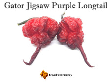 Load image into Gallery viewer, Gator Jigsaw Purple Longtail