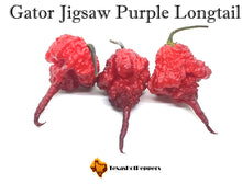 Load image into Gallery viewer, Gator Jigsaw Purple Longtail