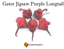 Load image into Gallery viewer, Gator Jigsaw Purple Longtail