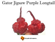 Load image into Gallery viewer, Gator Jigsaw Purple Longtail