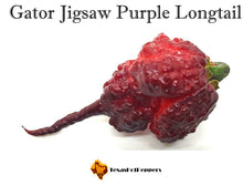 Load image into Gallery viewer, Gator Jigsaw Purple Longtail