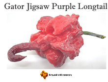 Load image into Gallery viewer, Gator Jigsaw Purple Longtail