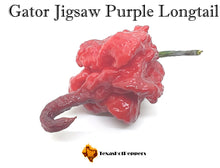 Load image into Gallery viewer, Gator Jigsaw Purple Longtail