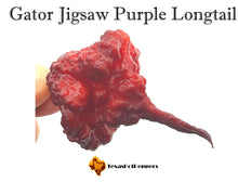 Load image into Gallery viewer, Gator Jigsaw Purple Longtail