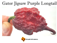 Load image into Gallery viewer, Gator Jigsaw Purple Longtail