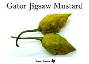 Gator Jigsaw Mustard