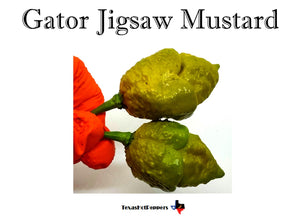 Gator Jigsaw Mustard