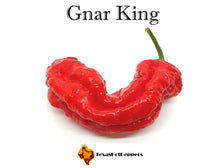 Load image into Gallery viewer, Gnar King