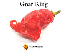 Load image into Gallery viewer, Gnar King
