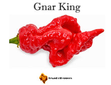 Load image into Gallery viewer, Gnar King