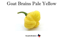 Load image into Gallery viewer, Goat Brains Pale Yellow