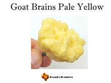 Load image into Gallery viewer, Goat Brains Pale Yellow
