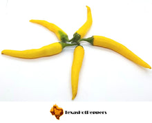 Load image into Gallery viewer, Golden Cayenne