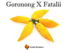 Load image into Gallery viewer, Goronong X Fatalii