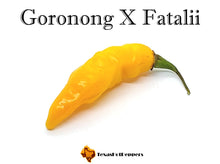 Load image into Gallery viewer, Goronong X Fatalii