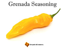 Load image into Gallery viewer, Grenada Seasoning