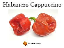 Load image into Gallery viewer, Habanero Cappuccino