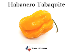 Habanero Tabaquite