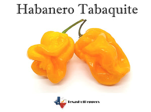 Habanero Tabaquite