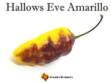 Load image into Gallery viewer, Hallows Eve Amarillo