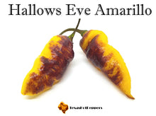 Load image into Gallery viewer, Hallows Eve Amarillo