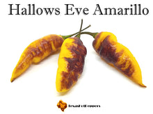 Load image into Gallery viewer, Hallows Eve Amarillo