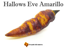 Load image into Gallery viewer, Hallows Eve Amarillo