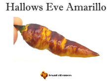 Load image into Gallery viewer, Hallows Eve Amarillo