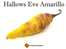 Load image into Gallery viewer, Hallows Eve Amarillo