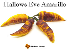 Load image into Gallery viewer, Hallows Eve Amarillo