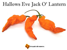 Load image into Gallery viewer, Hallows Eve Jack O&#39;Lantern