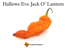 Load image into Gallery viewer, Hallows Eve Jack O&#39;Lantern