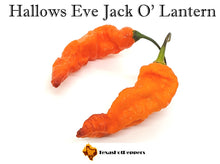 Load image into Gallery viewer, Hallows Eve Jack O&#39;Lantern