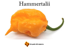 Load image into Gallery viewer, Hammertalii