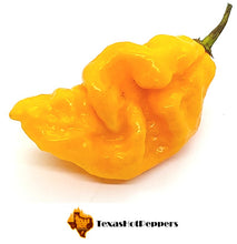 Load image into Gallery viewer, Hellbent Yellow