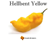 Load image into Gallery viewer, Hellbent Yellow