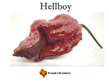 Load image into Gallery viewer, Hellboy