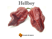 Load image into Gallery viewer, Hellboy