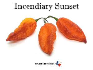 Incendiary Sunset