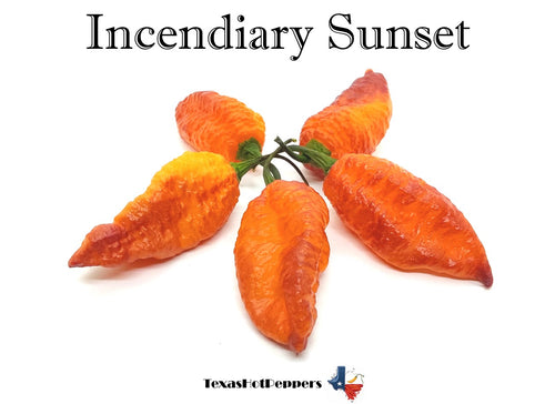 Incendiary Sunset