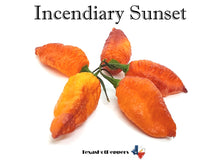 Load image into Gallery viewer, Incendiary Sunset